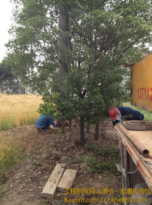 nEO_IMG_毛毛 065.jpg