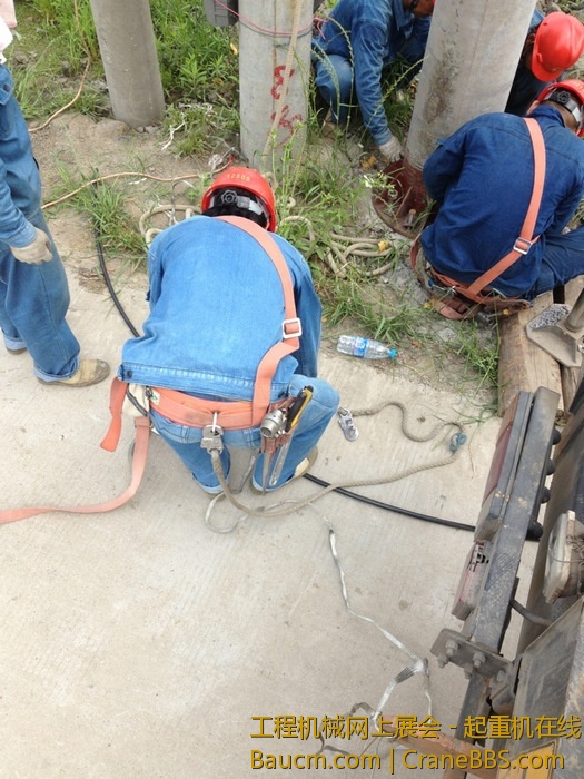 nEO_IMG_毛毛 060.jpg