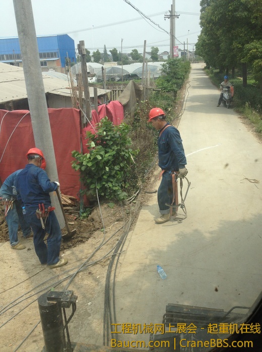 nEO_IMG_毛毛 071.jpg