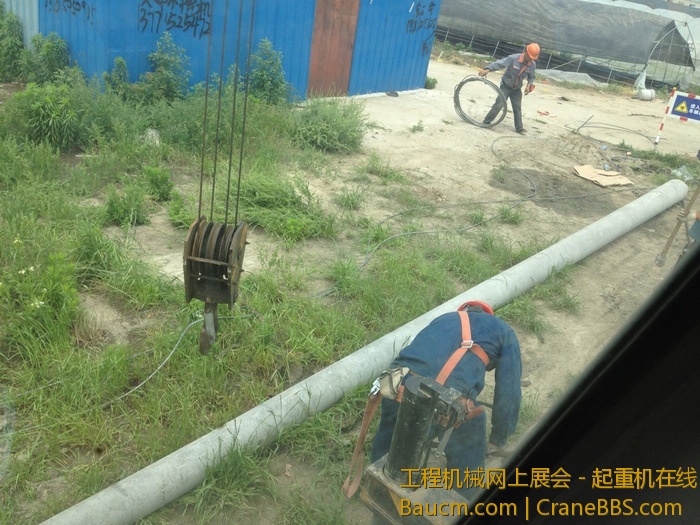 nEO_IMG_毛毛 072.jpg