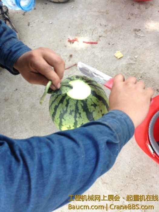 nEO_IMG_毛毛 067.jpg