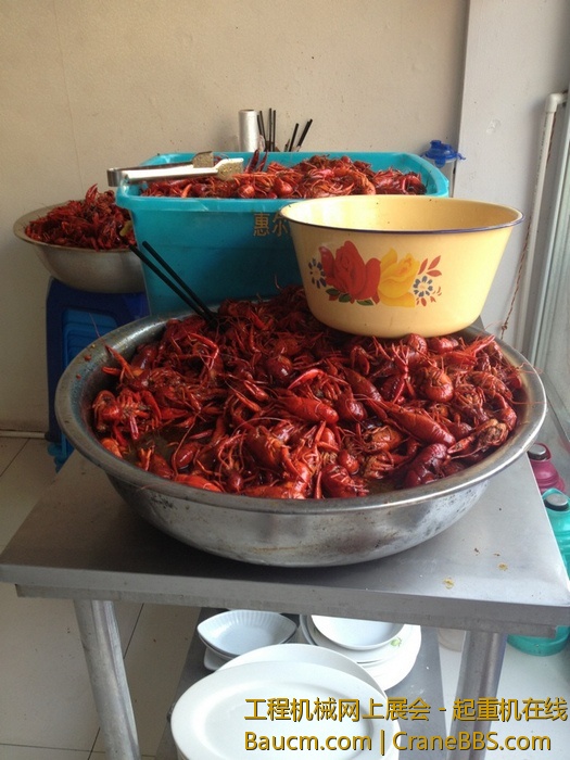 nEO_IMG_毛毛 073.jpg