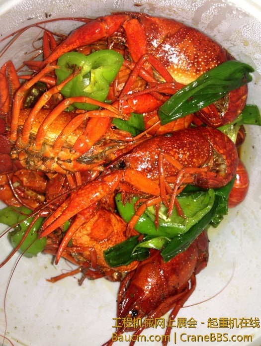 nEO_IMG_毛毛 075.jpg