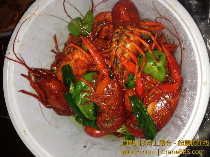 nEO_IMG_毛毛 076.jpg