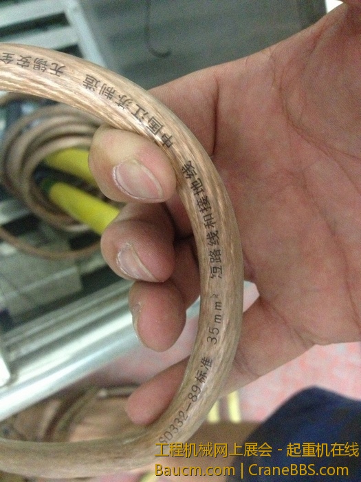 nEO_IMG_毛毛 113.jpg