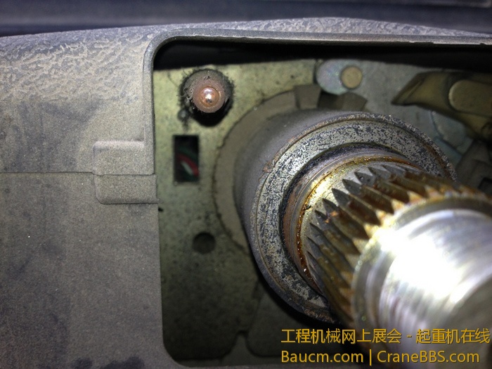 nEO_IMG_IMG_1729.jpg