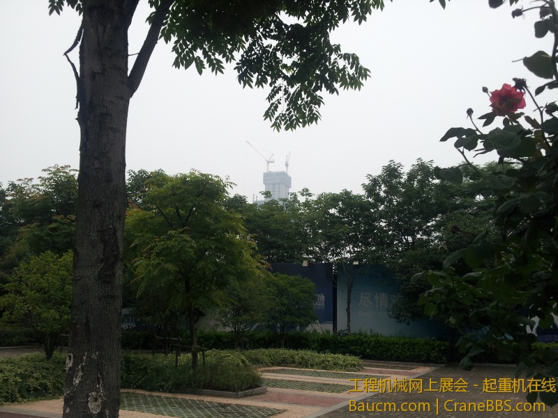20130612_115802~1.jpg