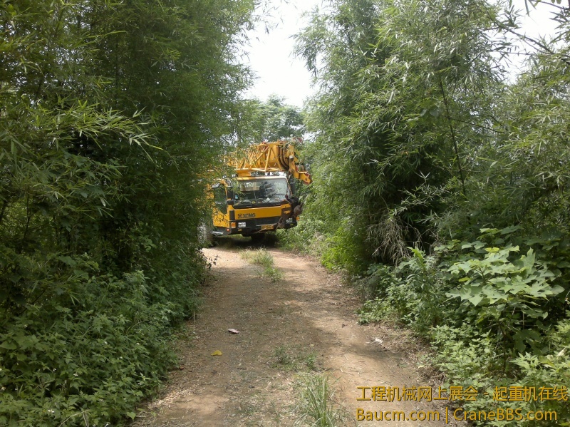 201306141142_1.jpg