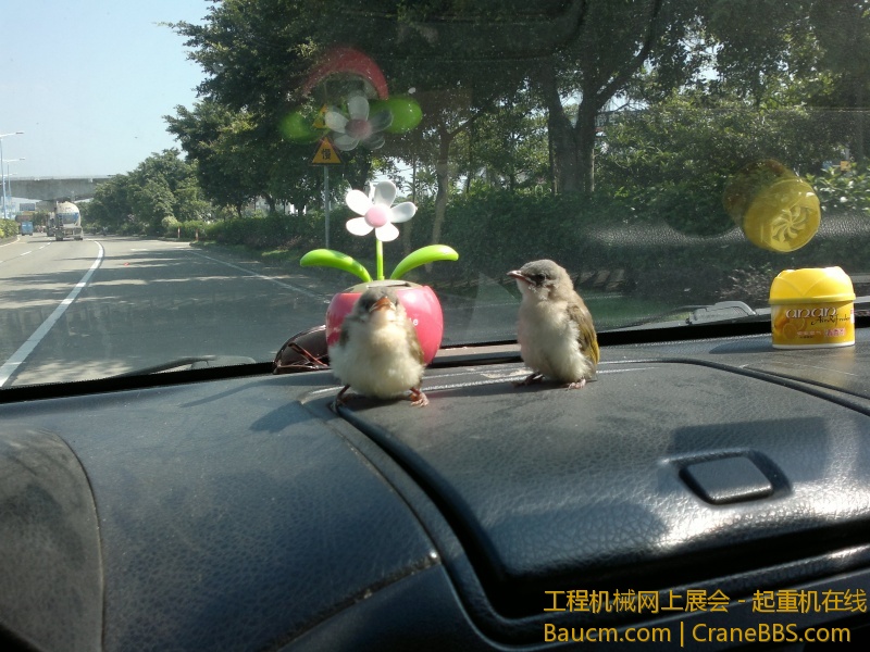 201306011099.jpg
