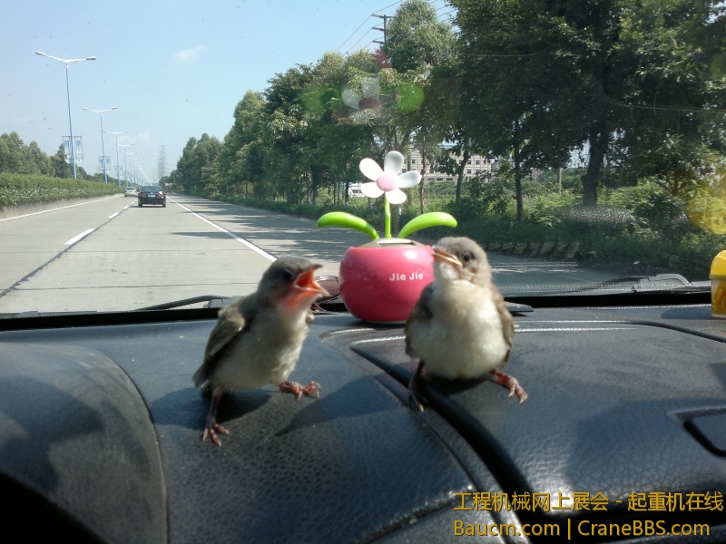 201306011101.jpg