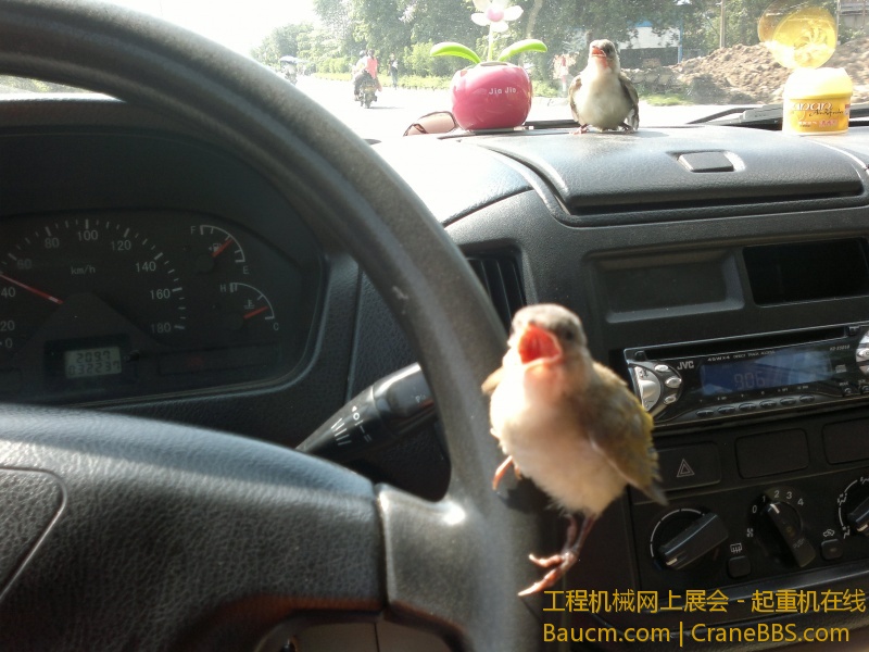 201306011102.jpg
