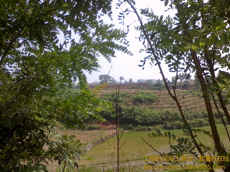 IMG0615104500.jpg