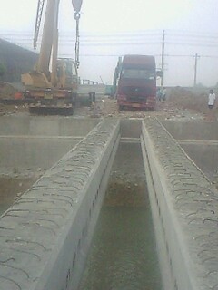 IMG1291A.jpg