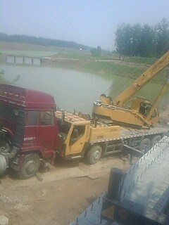 IMG1286A.jpg