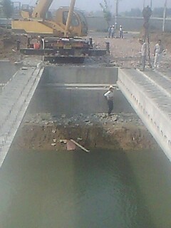 IMG1295A.jpg