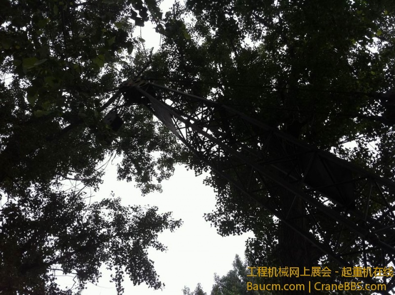 调整大小 IMG_1832.jpg