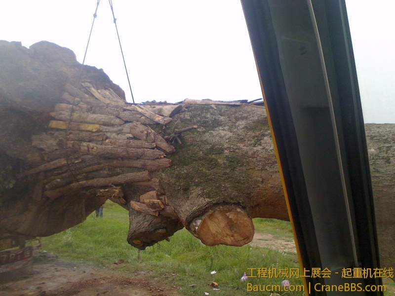IMG0621142900.jpg