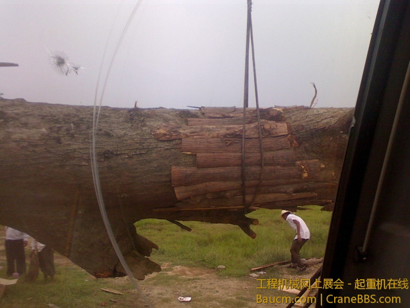 IMG0621142901.jpg