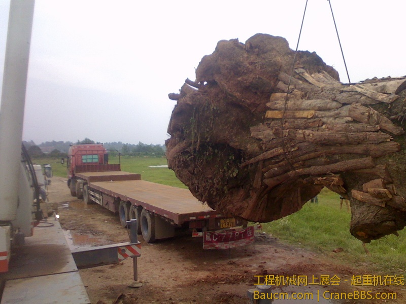 IMG0621142902.jpg