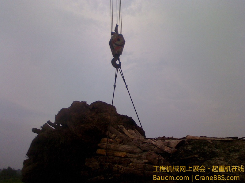 IMG0621144401.jpg