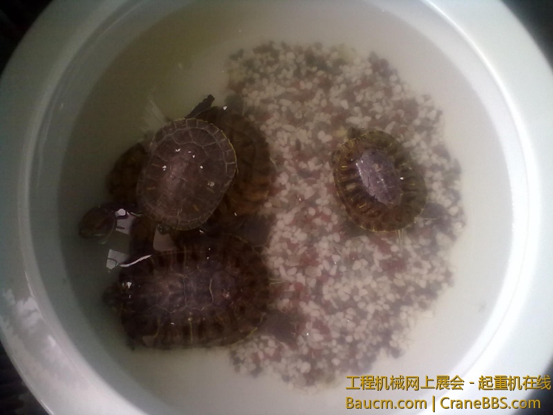 201306102061.jpg