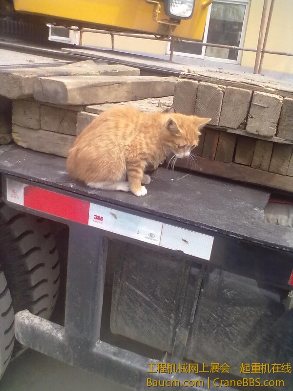 201306102055.jpg