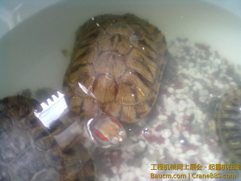 201306102063.jpg