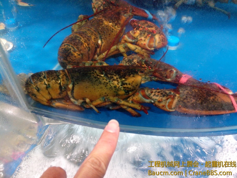 IMG20130601001.jpg