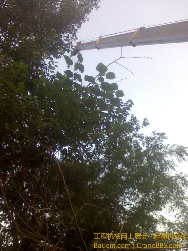IMG0629185902.jpg