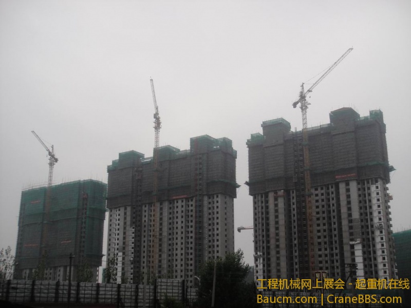 调整大小 DSC08483.JPG