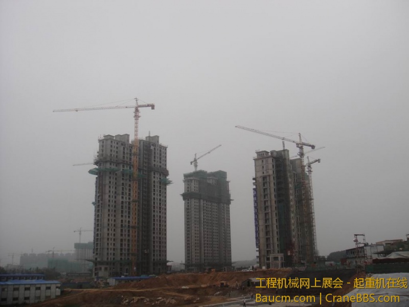 调整大小 DSC08488.JPG