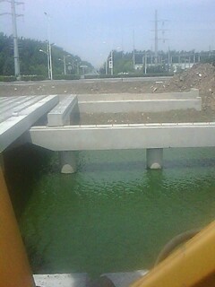 IMG1388A.jpg