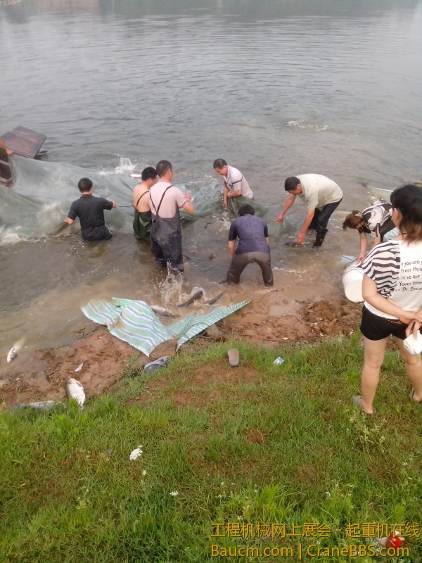 IMG_20130620_065552.jpg