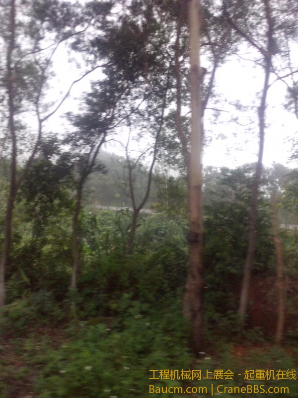IMG_20130616_152324.jpg
