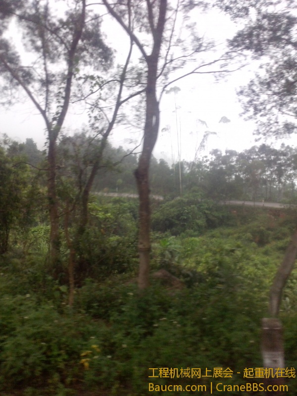 IMG_20130616_152326.jpg