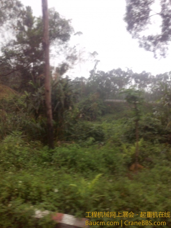 IMG_20130616_152330.jpg