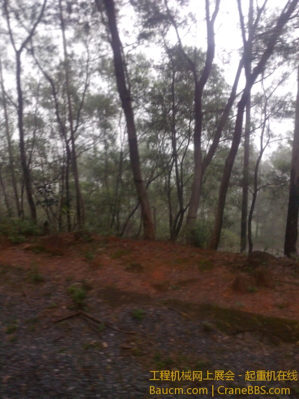 IMG_20130616_152850.jpg
