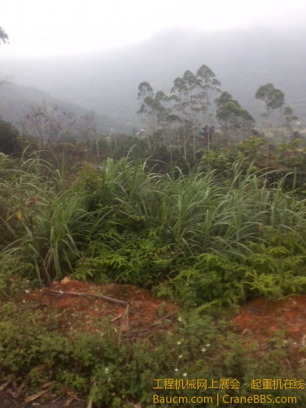 IMG_20130616_151611.jpg