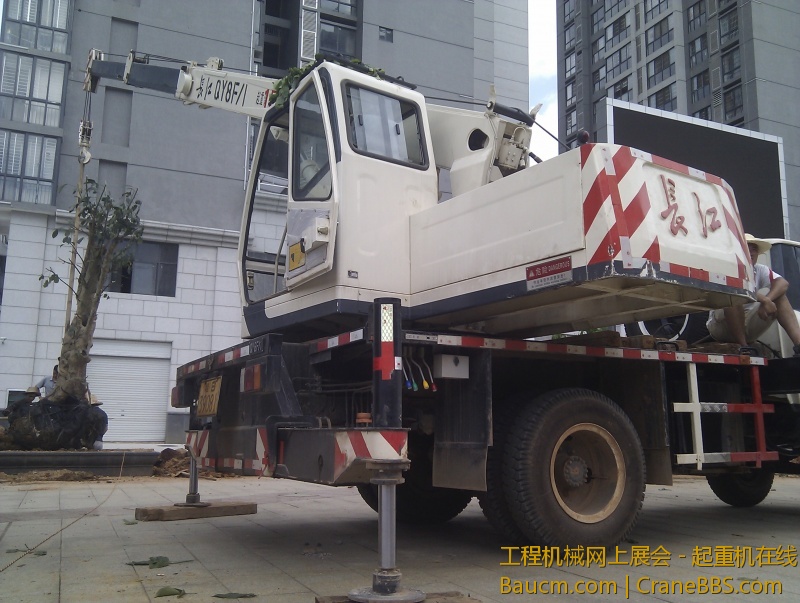 小8吊树