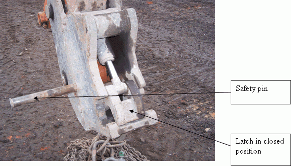 image1.gif
