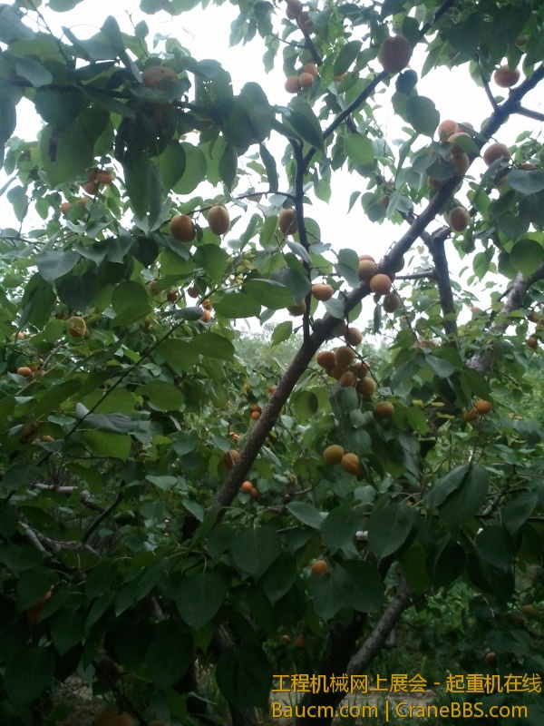 2013-06-25 08.15.08.jpg