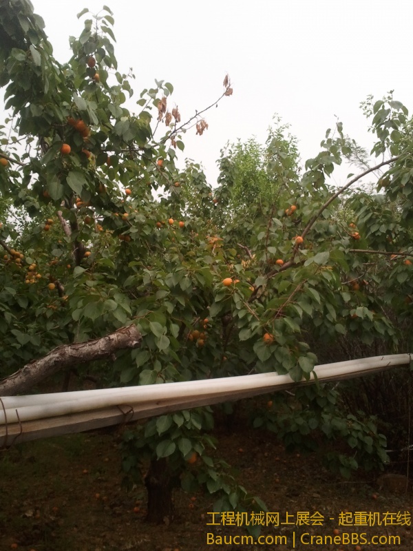 2013-06-25 08.15.23.jpg