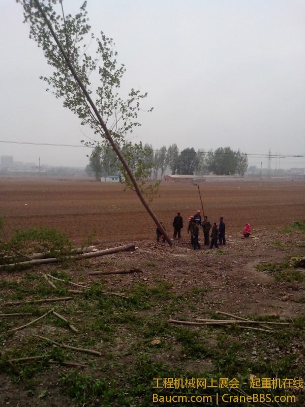 IMG_20130509_172831.jpg
