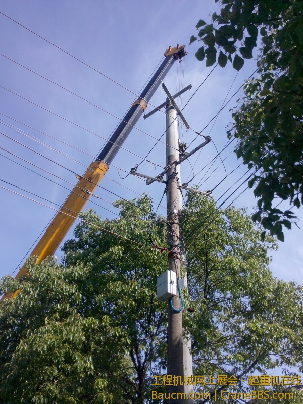 IMG20130512032.jpg