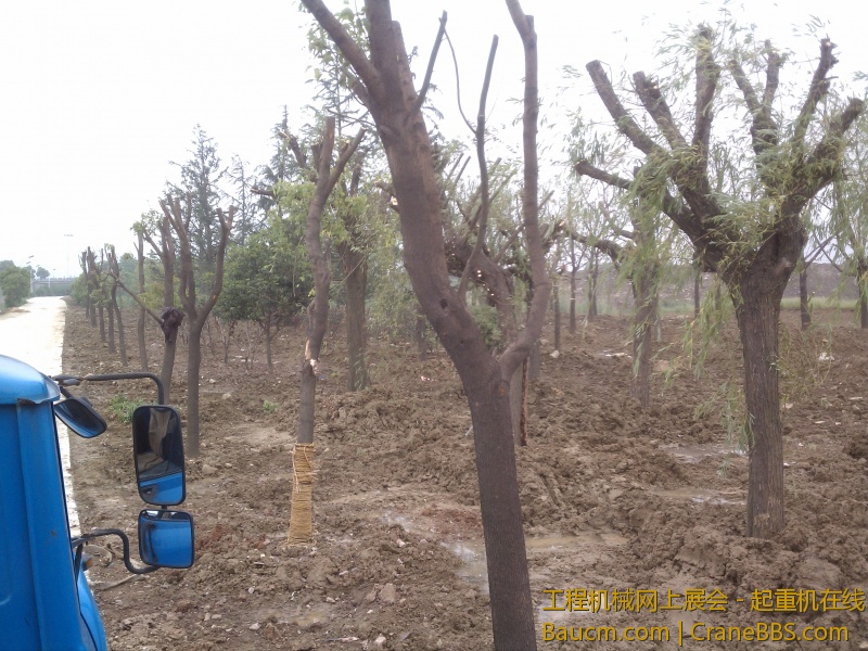 种的地方不怎么样，还好不要开进去