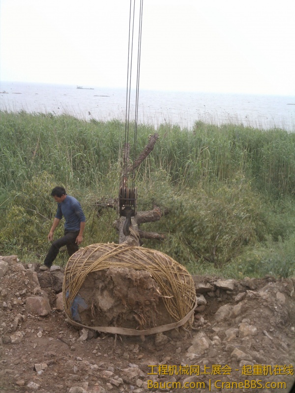 这泥球超大，F杯的