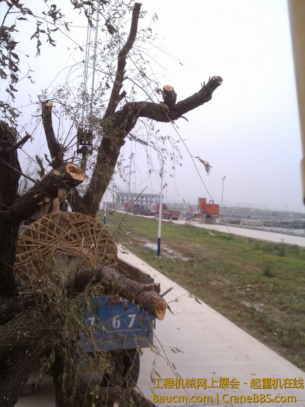 全是F罩杯的擦，2吨