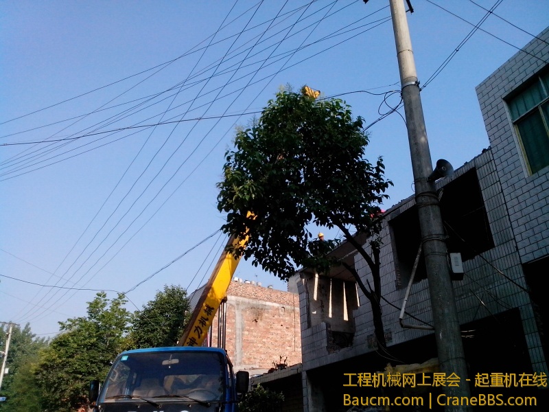IMG_20130512_075216.jpg