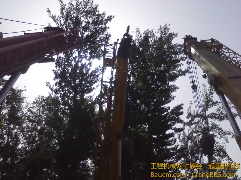 IMG_20130512_083427.jpg