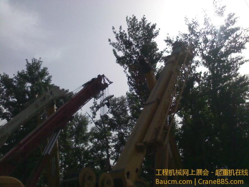 IMG_20130512_083516.jpg